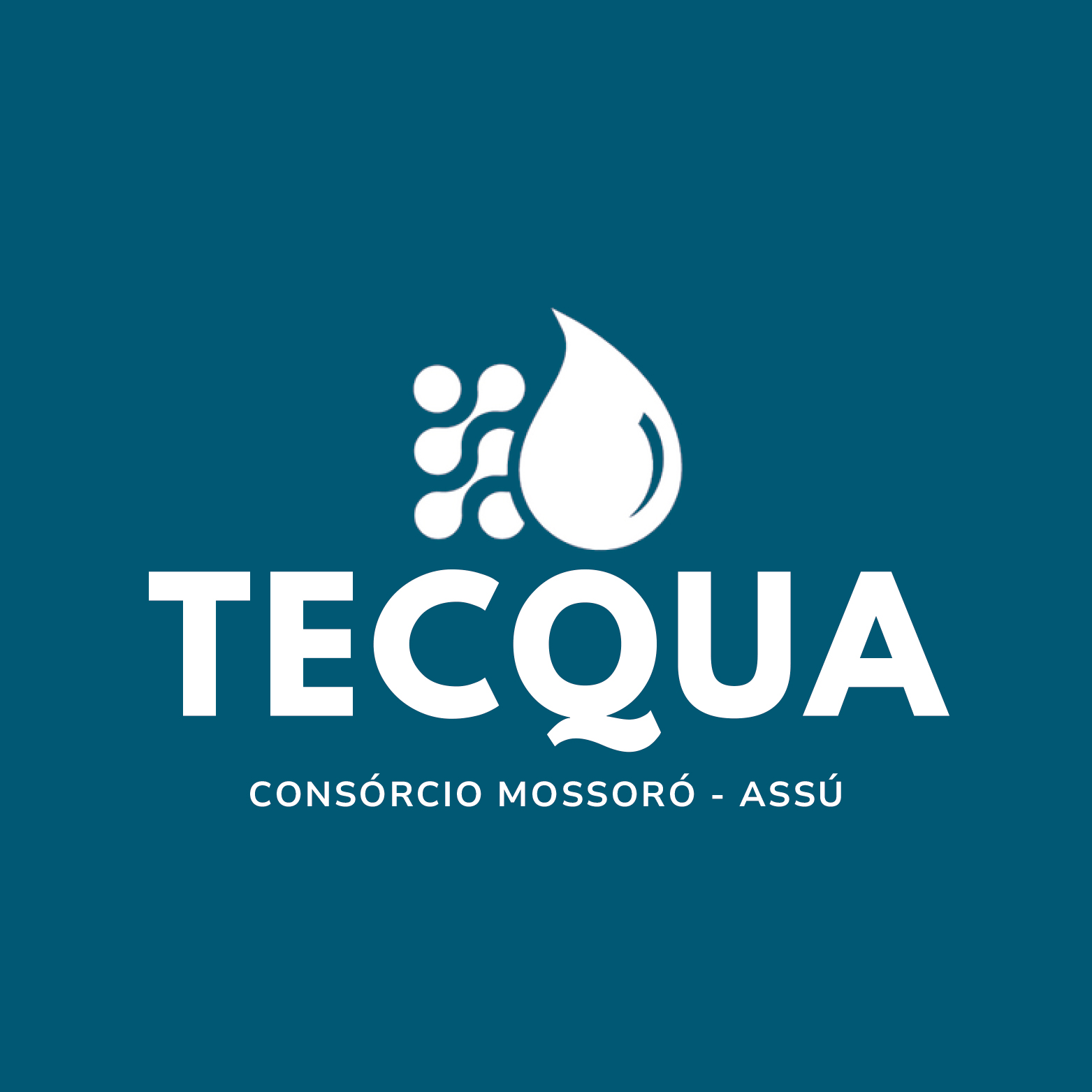 Logo Consórcio Tecqua -2.jpg
