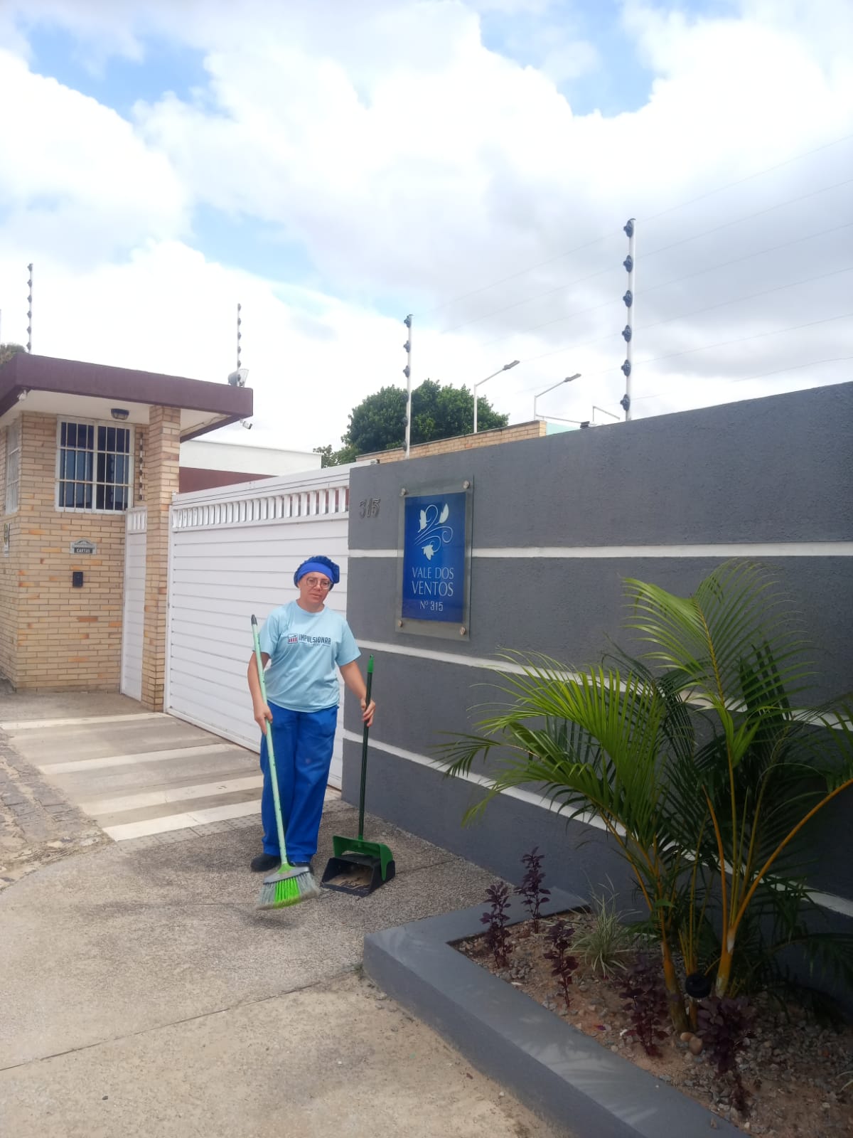 impulsionar servicos profissional de limpeza 2.jpeg